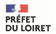 Arrêté imposant le port du masque sur les zones à forte densité des communes d’Orléans et Montargis